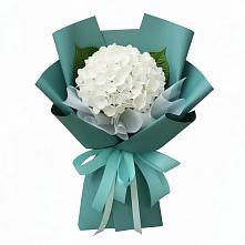 Букет цветов из:  Гортензия #REPLACE_PRED# Московском